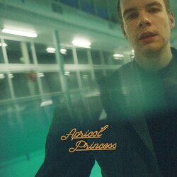 Rex Orange County Apricot Princess VINYL LP