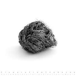 Various Artist Flowers From The Ashes Vinyl LP