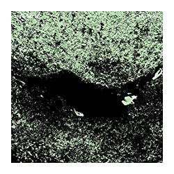 Jaye Jayle No Trail & Other Unholy Paths Vinyl LP