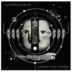 Glyn Bigga Bush Sunken Foal Stories Vinyl LP