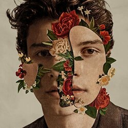 Shawn Mendes Shawn Mendes Vinyl LP