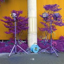IshibashiEiko & GrayDarin Ichida Vinyl LP