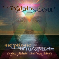 Robb Scott Neptune Atmosphere (You Didn't Feel My Love) VINYL 12INCH