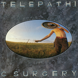 Flaming Lips Telepathic Surgery Vinyl LP