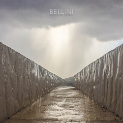 Bellini Before The Day Has Gone Vinyl LP