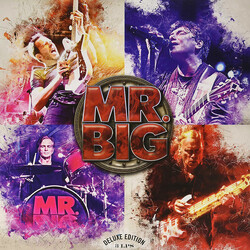 Mr. Big Live From Milan