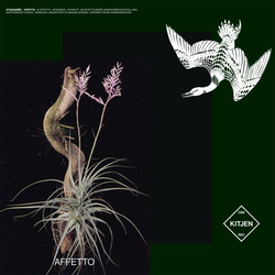 Stijn Sadee Affetto Vinyl 12"