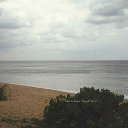 Frank & Aakmael Mercy Of Means Vinyl LP