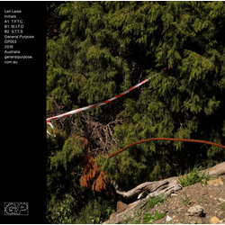 Len Leise Initials Vinyl 12"