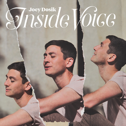 Joey Dosik Inside Voice (Stone White Vinyl) Vinyl LP