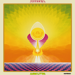 Os Mutantes Tudo Foi Feito Pelo Sol Vinyl LP