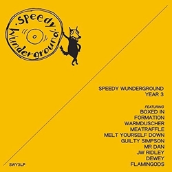 Various Speedy Wunderground Year 3 Vinyl LP