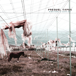 Prequel Tapes Everything Is Quite Now Vinyl LP