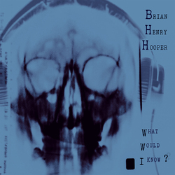 Brian Henry Hooper What Would I Know Vinyl LP