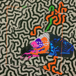 Animal Collective TANGERINE REEF Vinyl 2 LP