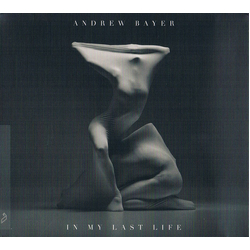 Andrew Bayer Andrew Bayer - In My Last Life Vinyl 2 LP