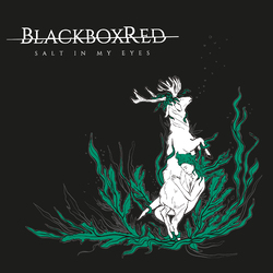 Blackboxred Salt In My Eyes VINYL LP