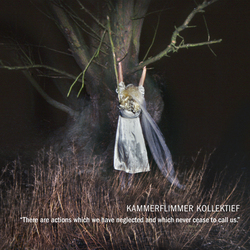 Kammerflimmer Kollektief There Are Actions Which We Have Neglected Vinyl 2 LP