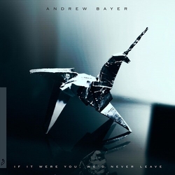 Andrew Bayer Andrew Bayer - If It Were You We'D Never Leave Vinyl 2 LP