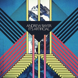 Andrew Bayer Andrew Bayer - It's Artificial Vinyl 2 LP