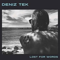 Deniz Tek Lost For Words Vinyl LP
