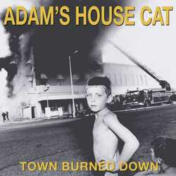 Adam'S House Cat Town Burned Down Vinyl LP +g/f