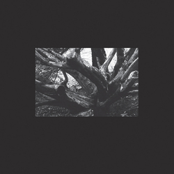 R.A.N. Seb-I Yelda Vinyl 12"