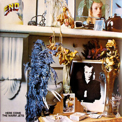 Brian Eno Here Come The Warm Jets Vinyl