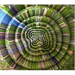 Aphex Twin Collapse (Bonus Track) (Dlcd) vinyl LP
