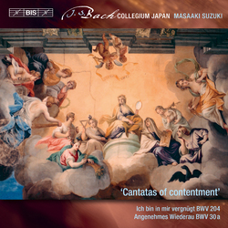 BachJ.S. / Henrici Secular Cantatas 10 SACD CD