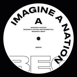 Gemini Imagine A Nation / For The Crazy Vinyl LP