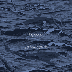 Dodos Certainty Waves VINYL LP