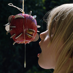 Puce Mary The Drought Vinyl LP