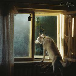 Laura Gibson Goners Vinyl LP