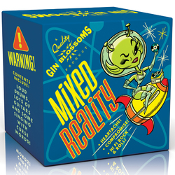 Gin Blossoms Mixed Reality Vinyl LP