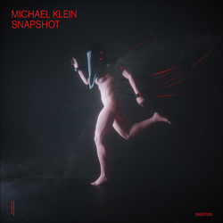 Michael Klein Snapshot Vinyl 2 LP