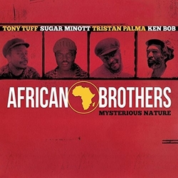 African Brothers Mysterious Nature Vinyl 2 LP