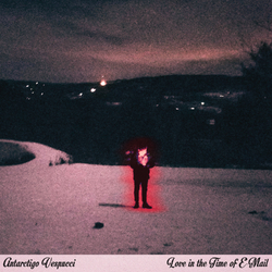 Antarctigo Vespucci Love In The Time Of E-Mail VINYL LP