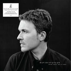 David Sylvian Dead Bees On A Cake Vinyl 2 LP