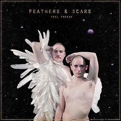 Feel Freeze Feathers & Scars Vinyl LP
