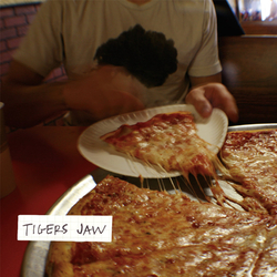 Tigers Jaw Tigers Jaw (10 Year Anniversary) deluxe Vinyl LP