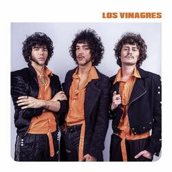 Los Vinagres Los Volcanes Vinyl 2 LP