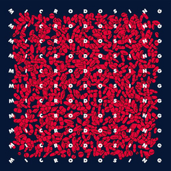 Ruede Hagelstein Microdosing Vinyl 12"