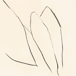 Jon Porras Voices Of The Air VINYL LP