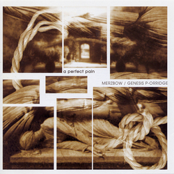 Merzbow / Genesis Breyer P-Orridge Perfect Pain Vinyl LP