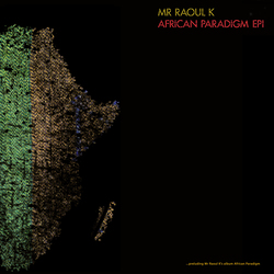 Mr Raoul K African Paradigm Ep 1 Vinyl 12"