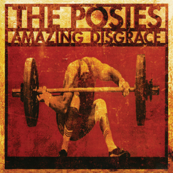 Posies Amazing Disgrace Vinyl LP
