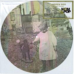 Andrew Bird Break It Yourself picture disc Vinyl LP