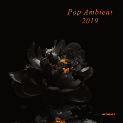 Various Artist Pop Ambient 2019 Vinyl 2 LP