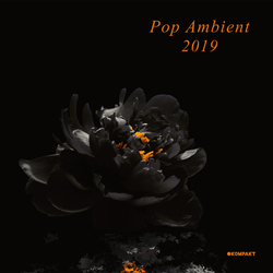 Various Artist Pop Ambient 2019 Vinyl 2 LP